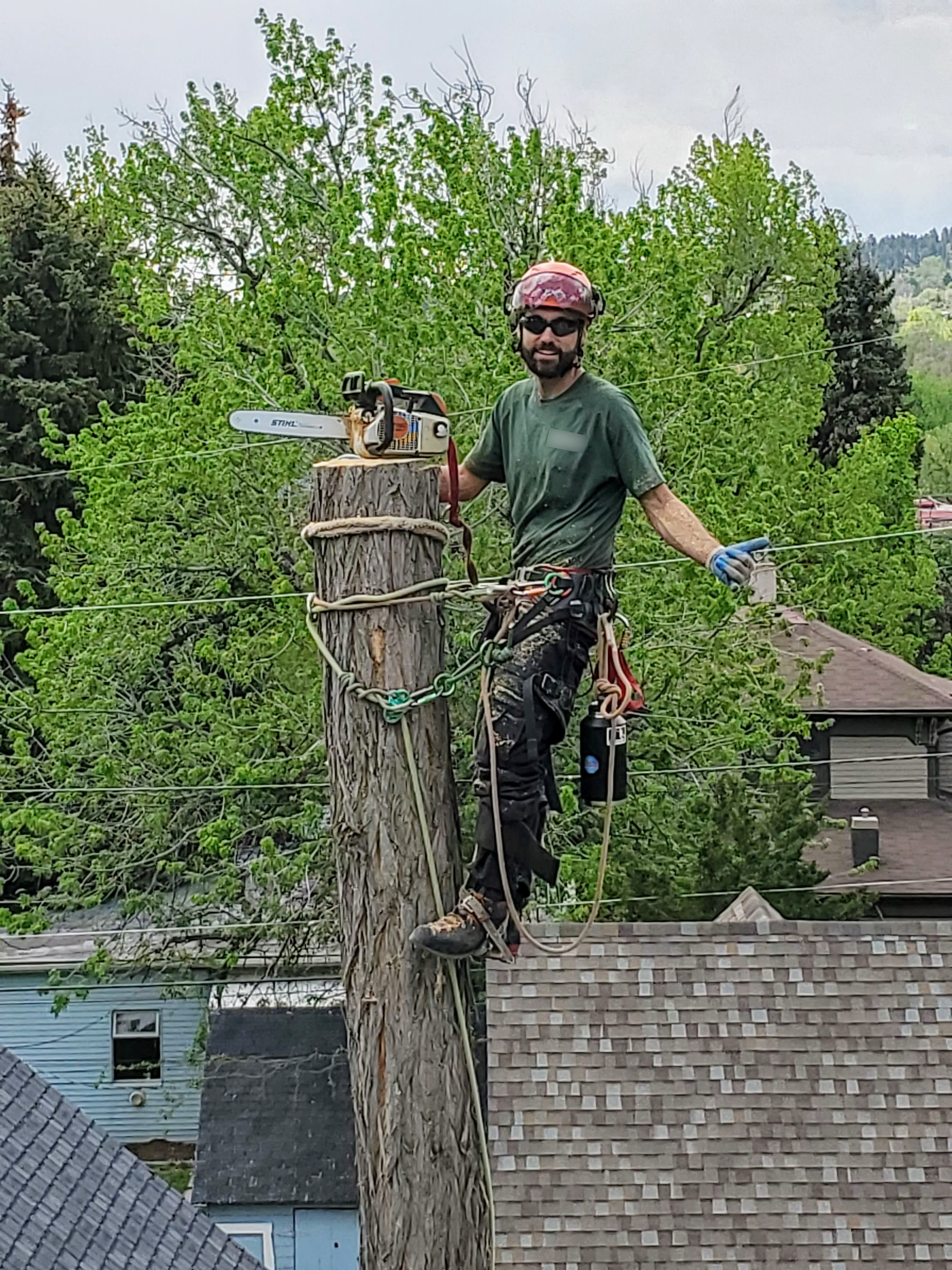Nick Kantor, ISA Certified Arborist and Owner of Silverwood Arboriculture