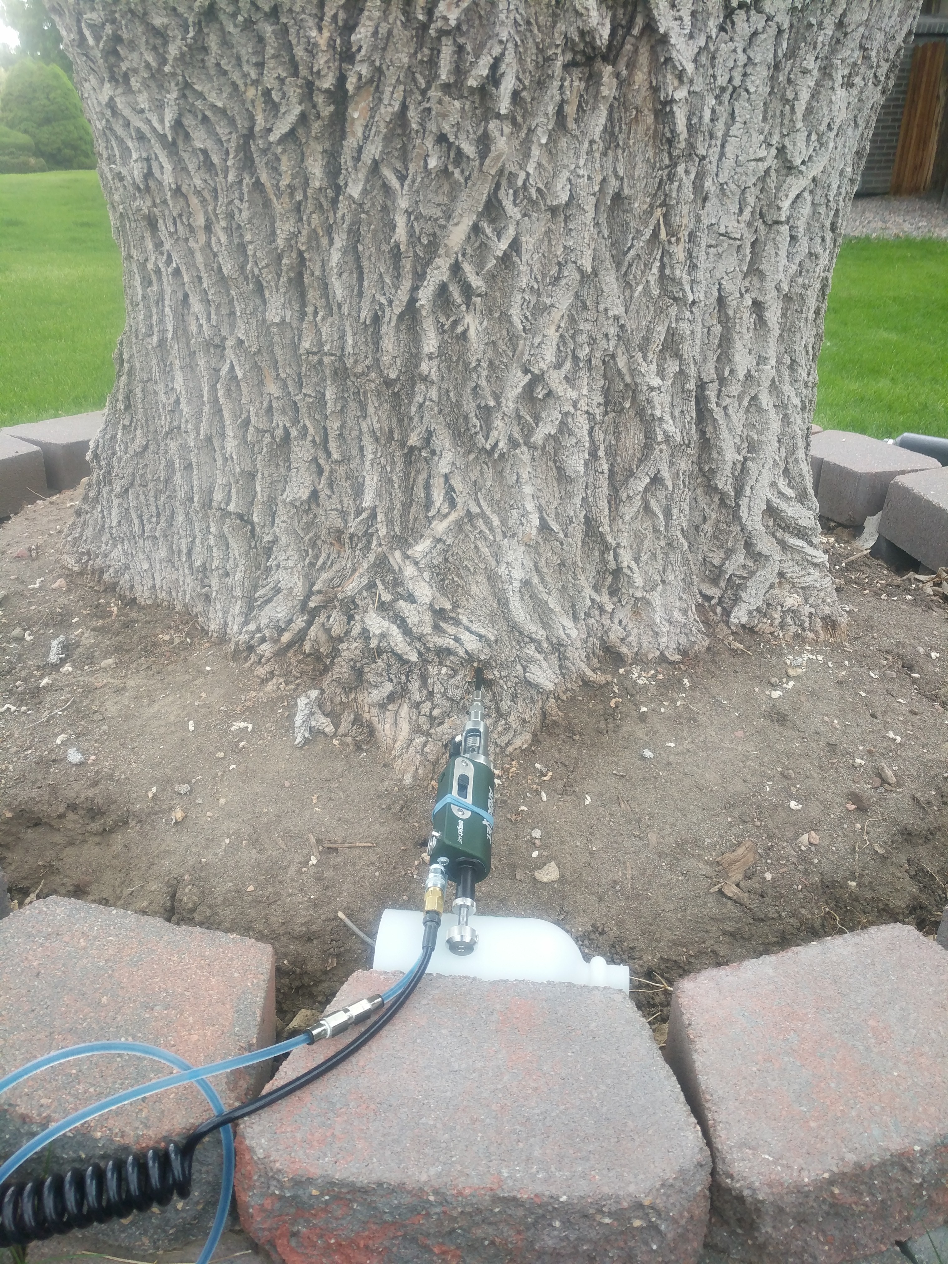 Tree injection treatment for disease and pest management