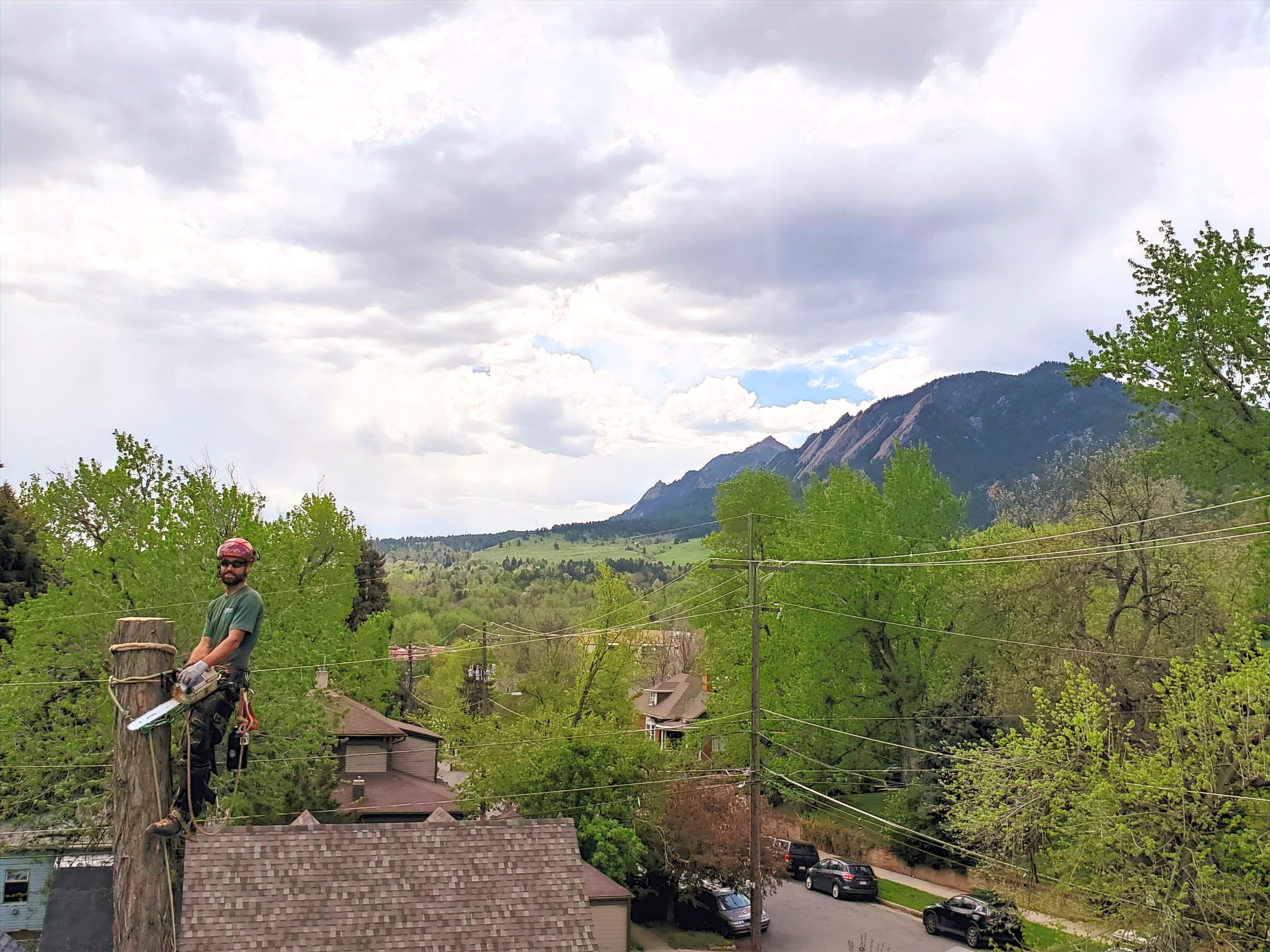 Arborist on a tree with Boulder Flatirons in background