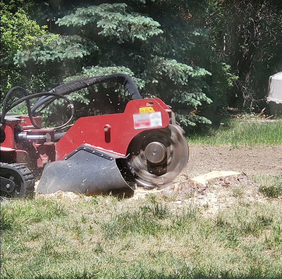 Stump grinder machine in action